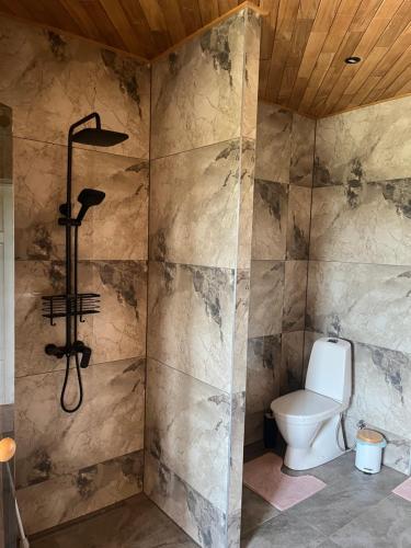 a bathroom with a toilet and a shower at Tamsalu Wallamaja in Tamsalu