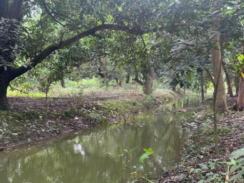Un paisaje natural cerca de la casa de huéspedes