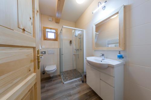a bathroom with a sink and a shower and a toilet at Na mú dušu - Valašské chalupy na Kyčerce in Velké Karlovice