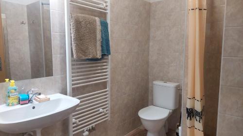 a bathroom with a white toilet and a sink at Penzion TGM in Příbram