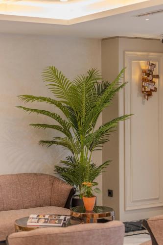 a palm tree sitting on a table in a living room at Grand Hilarium Hotel in Istanbul