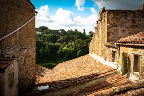uma vista do telhado de um edifício antigo em Da Titta em Pitigliano