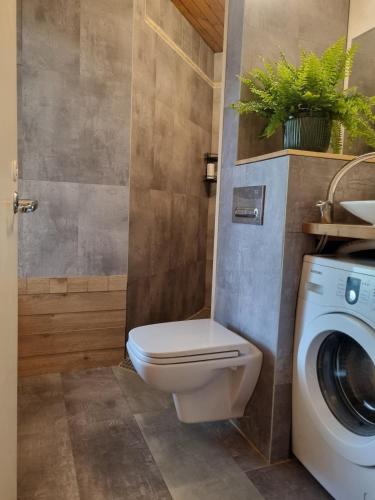 a bathroom with a toilet and a washing machine at Spacious home with balcony! in Pärnu