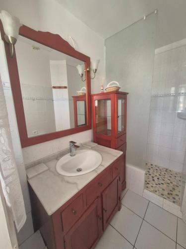 a bathroom with a sink and a mirror at la Demeure Ferralaise in Ferrals-lès-Corbières