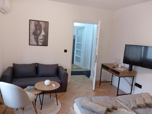 un salon avec un canapé et une télévision dans l'établissement Apartman Leky, à Tuzla