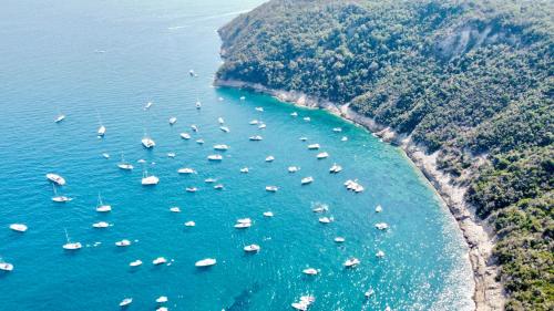 an aerial view of a large group of boats in the water at Vento di mare in Procida