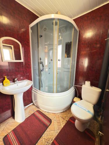a bathroom with a shower and a toilet and a sink at "Як вдома" Буковель in Bukovel