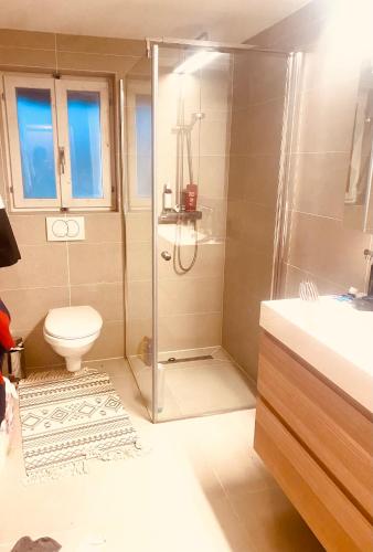 a bathroom with a shower and a toilet at Chalet Belland in Bellwald