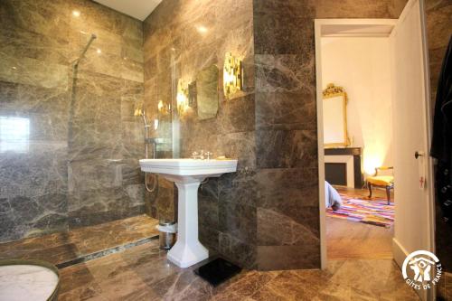 a bathroom with a sink and a shower at Château de Savignac in Savignac-Mona