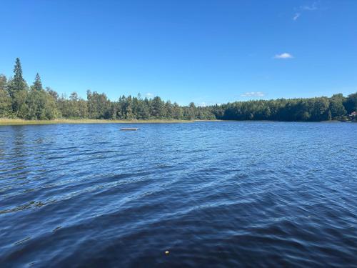 a large body of water with trees in the background at Villa Seeblick in Sjunnamåla