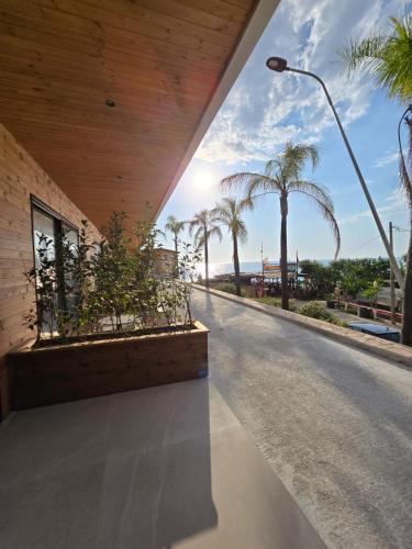 an empty street with palm trees and a street light at Nalu Beach Villas in Lukovë