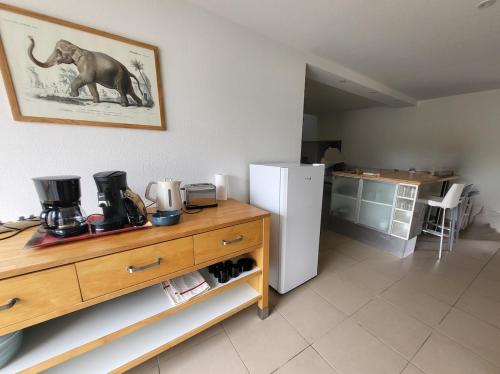 a kitchen with a refrigerator and a table with a counter at Maison en pierre rénovée in Taïx