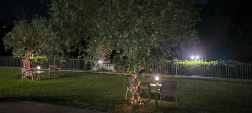 a table and chairs under a tree in a yard at night at Fons Clara Domus et Eventi in Fontechiari