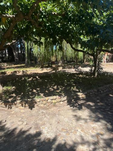 a shady area with trees and rocks in a park at Maison d hôtes Las Pistaxes in Pia