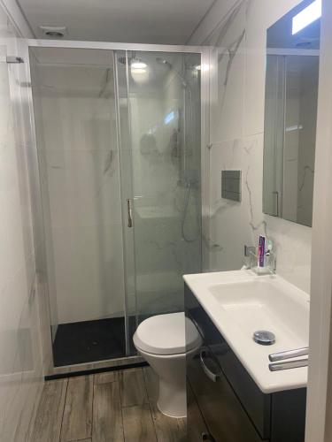 Un baño con ducha, inodoro y lavabo. en Prime Apart Aveiro, en Aveiro