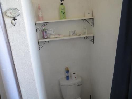 a bathroom with a toilet with shelves on the wall at Mountain View Cottages in Nieu-Bethesda
