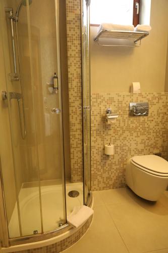 a bathroom with a shower and a toilet at Boutique Hotel Dubná Skala in Žilina
