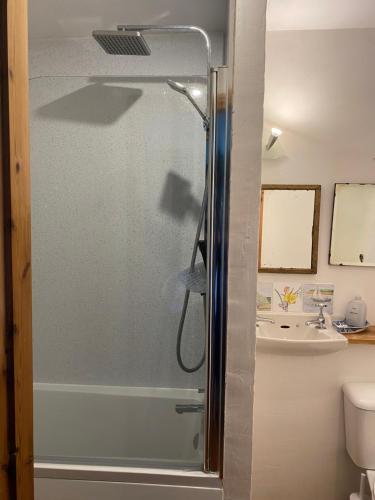 a bathroom with a shower and a sink at Daffodil in Whitby