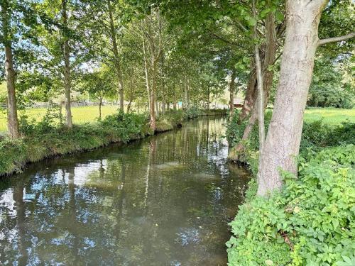 a river in a park with trees and water at Sonnentau in Kolonie