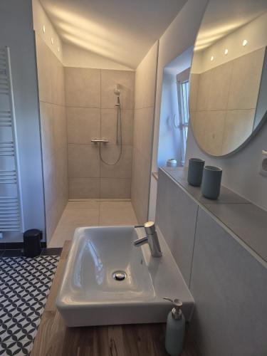 a bathroom with a sink and a shower with a mirror at Schwalbennest in Steenfeld