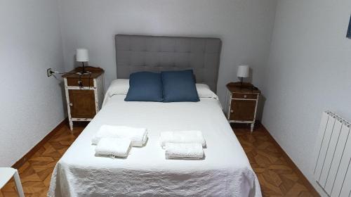 a bedroom with a bed with blue pillows and two night stands at El hogar de Gregorio in Vilvestre