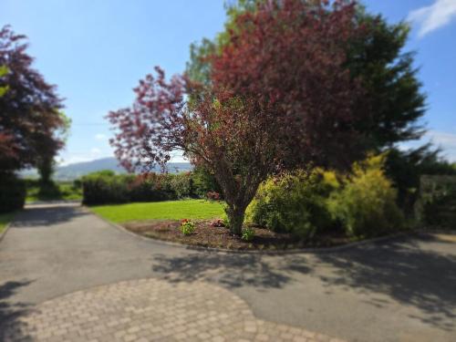 Gallery image of The Lazy Acre - Secluded Cottage with Garden & Sunset Views in Enniscorthy