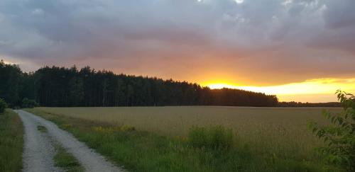 a dirt road in a field with the sunset in the background at SOVA House in Kruczy Borek