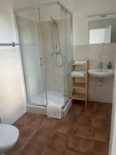 a bathroom with a shower and a sink and a toilet at Litovelské apartmány in Litovel