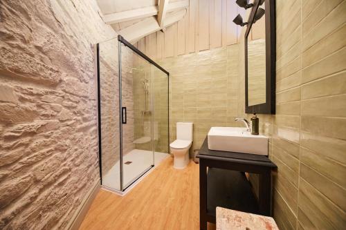 ein Badezimmer mit Waschbecken, Dusche und Toilette in der Unterkunft Melro Cottage House, Douro Valley in Aldeia de Baixo