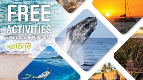 a collage of images of a dolphin in the ocean at Papakea L101 · PK L101 Maui Ground-Floor Condo with Ocean Views in Honokowai