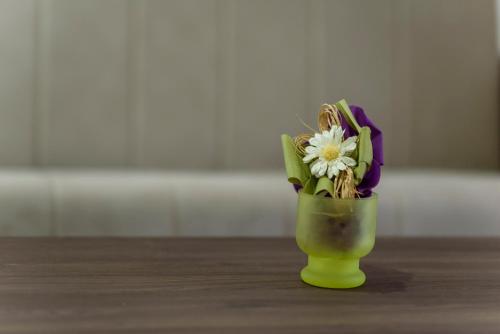 Vrnjačka BanjaにあるVilla Otava Lux SPAのギャラリーの写真