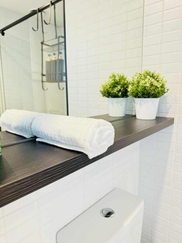 a bathroom with two potted plants on a shelf at ADEK Apartments North Melb - 2BR Apt near Melb Zoo with free Parking, Pool & Gym in Melbourne