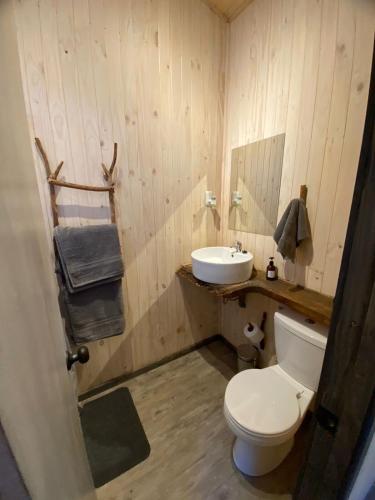 ビルチェスにあるTiny house Roble en Vilches altoの白いトイレと洗面台のあるバスルーム