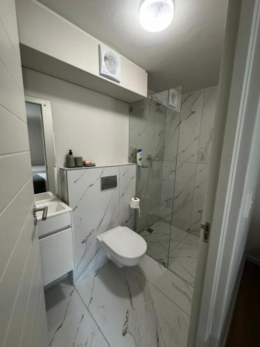 a white bathroom with a toilet and a shower at Marina Views Simon's Town in Simonʼs Town