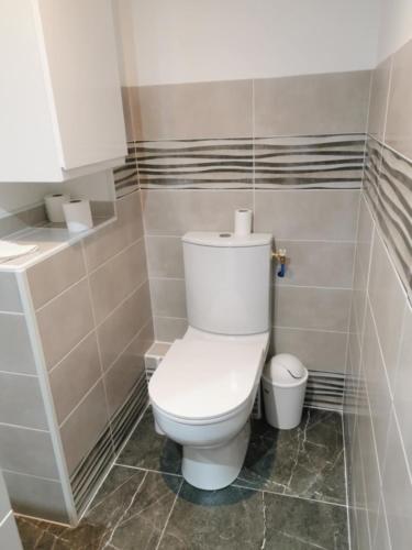 une salle de bains avec des toilettes blanches dans une chambre dans l'établissement Studio La Gâche, à Saint-Christoly-de-Blaye