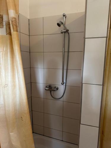 a shower in a bathroom with a shower curtain at MonteurGut Apartments Birke in Lindern