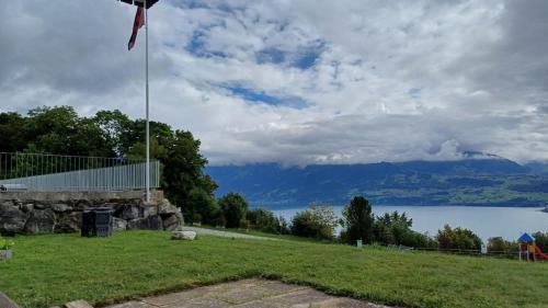 a flag on a pole in a field with a lake at Lakeview Lodge Ferienwohnung Aeschlen ob Gunten am Thunersee in Aeschlen ob Gunten