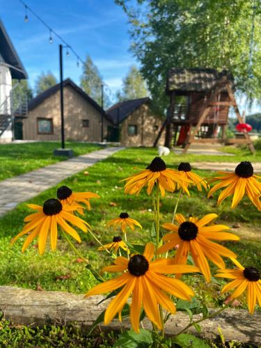 Domki Letniskowe Widokówka Myczków