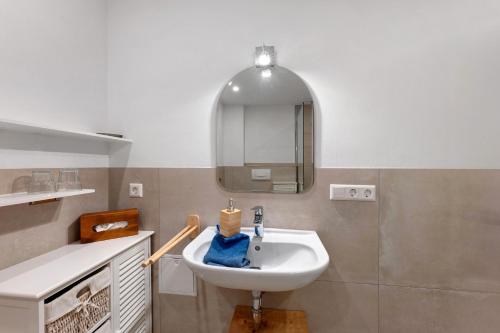 a bathroom with a sink and a mirror at Ruhbauernhof in Kirchzarten
