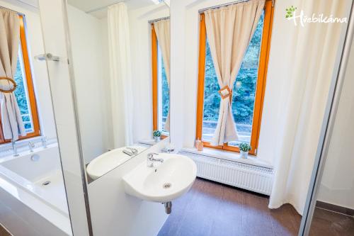 Bilik mandi di Restaurace a Pension Hřebíkárna