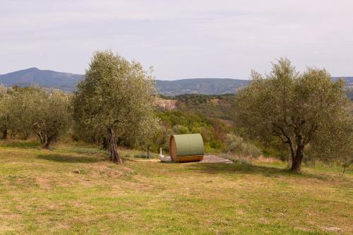 a tent in the middle of a field with trees at Casale meraviglioso Val d'Orcia con piscina in Radicofani
