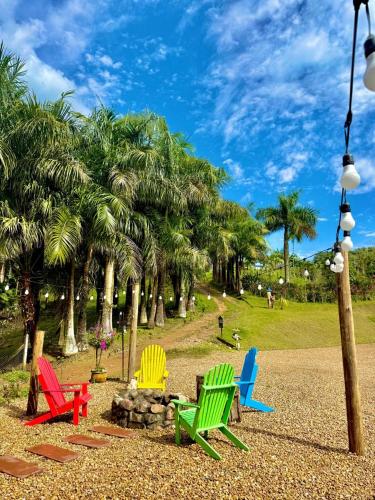 a group of colorful chairs in a park with palm trees at Tiny Houses Amsterdam, Timbó in Timbó