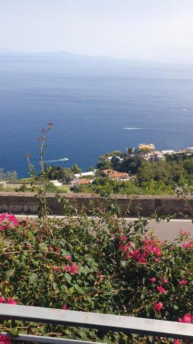vistas al océano con flores rosas en Villa Grace Amalfi seaview, en Amalfi