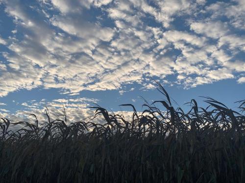 Billede fra billedgalleriet på Your Home away from Home i Wolvertem