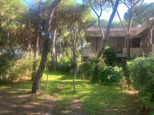 a house in the middle of a yard with trees at At Franca's house between Pineta&Mare Wi-Fi in Grosseto