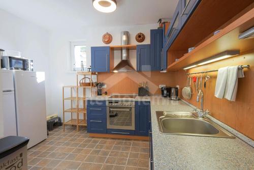 a kitchen with blue cabinets and a sink at Ski/Bike Villa Sapporo ⃰ ⃰ ⃰ in Kraslice