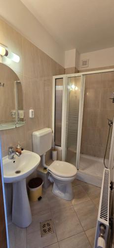 a bathroom with a toilet and a sink and a shower at Rubin in Sovata