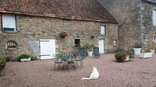 a white cat sitting in front of a building at Cottage 2 personnes in Lormes