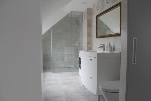 een badkamer met een wastafel, een toilet en een douche bij Svečių namai Lanko g. in Klaipėda