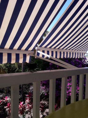 a blue and white umbrella sitting on a white fence at Résidence les hibiscus Les pieds dans l'eau in Bouillante